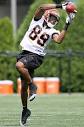 Bengals WR Simpson Looking for Big Things in 2009 » Bengals Gab