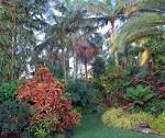 Jesse Durko Tropical Garden and Nursery