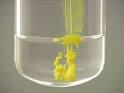 Chemical Changes