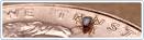 CDC - <b>Babesiosis</b>