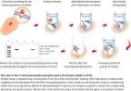 the Co-<b>Immunoprecipitation</b>