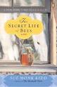 THE SECRET LIFE OF BEES by Sue Monk Kidd, McDougal Littel ...