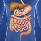 <b>Digestive System Fistula</b> - Doctor answers on HealthTap