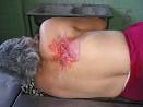 Mahiques Mahiques A.<b>Tumores</b>