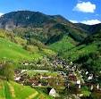 BLACK FOREST Freiburg Tours - guided tours