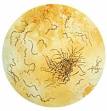 <b>treponema</b> Columbus and
