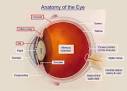 <b>Pars planitis</b> is one form of