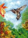 colibrí pronunciation