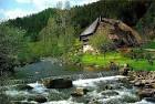 Travel to BLACK FOREST | Traveltourist.net - all about travel and ...