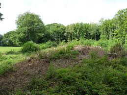 Image result for Sales Lot Long Barrow