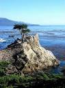PEBBLE BEACH Photos - Featured Images of PEBBLE BEACH, Monterey ...