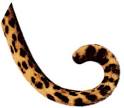 tail pronunciation