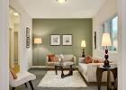 Focal wall color for living room