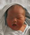 Kara Lin Hsu. She was born in Oswego Hospital on Dec. 31, 2009. - Baby-Hsu___171-300x352