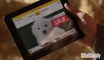 GoDaddy pulls Super Bowl puppy mill ad after controversy - NY.