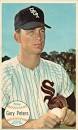 Gary Peters BACK TO TOP - 64topps_giant-01