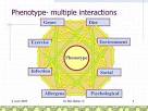<b>Phenotype</b>- It's all important | Ben Balzer's Paleolithic Diet Weblog