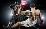 Dominion MMA--BJJ, BOXING, Muay Thai, Wrestling, Sambo, Kickboxing.