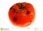 Rotten Tomato 2 Royalty Free Stock Photo - Image: 1541695