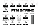 ... the supervision of Stefan Petrausch, Daniel Maaß programmed FTM String, ... - ftmstring