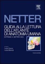 Guida alla lettura dell\u0026#39;atlante di anatomia umana di Frank H. Netter. by Lucio Cocco - Lucia Manzoli pubblicato da Elsevier Masson - NZO