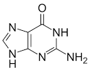 File:<b>Guanine</b>.svg