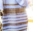 Gold White Dress Or Blue And Black? THE DRESS COLOR Question Is.
