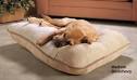 Dog Beds | Quality Dog Beds Maximize Comfort & Style