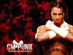 WWE WRESTLING CHAMPIONS: WWE CM PUNK