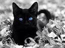 黒猫 pronunciation