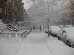 Snow In New York | Asal ilmu dot com