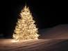 Outdoor Christmas Decorations, Lighting Ideas, Best Christmas ...