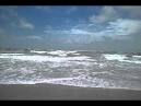 Tropical Storm Debby puts damper on Fla. vacations - Worldnews.