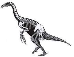 Nanshiungosaurus Images?q=tbn:ANd9GcTb_8XTNYlMiy_Y8GJBIvcHXcHPGvioDfSFS6tXtEbSUeAYygm1Mc4RGYP2