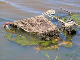 Abandoned Shopping Trolley's Hotline