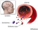 Captación de <b>serotonina</b>: