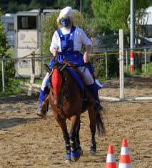 Freestyle Reining heißt es, wenn Reiter und Pferde verkleidet auftreten. Foto: Janine Brunner - 61803989