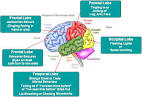 <b>Epilepsy</b> Complex <b>Partial</b>