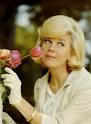 Have a nice DORIS DAY | I Want it Daily.
