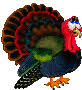http://t1.gstatic.com/images?q=tbn:ANd9GcTpuOgN8PcuLfnlSernDjuqSMuHUhmAV8nsqgS9F0yb0tQhcpd7lw