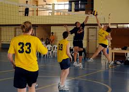 Image result for volleyball and volleyball net