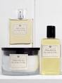 Buy of the Day - India Hicks Island Living Spider Lilly Range at ...