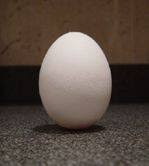 Chef's Secrets Chef's Secrets