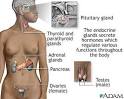 <b>Endocrine</b> Surgery Encyclopedia