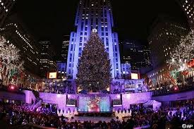 Largest tree for a Rock Center