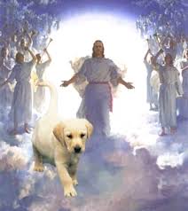Jesus had a Puppy
