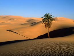 desert