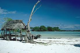 A beach fale on Upolo, Samoa
