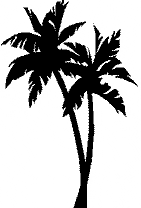 http://t1.gstatic.com/images?q=tbn:J7wpgP0ITUi_fM:http://www.townehotel.com/palmright.gif