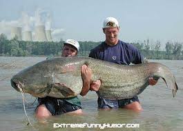 huge fish